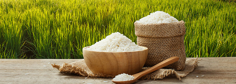 about-us-hr-enterprises-rice