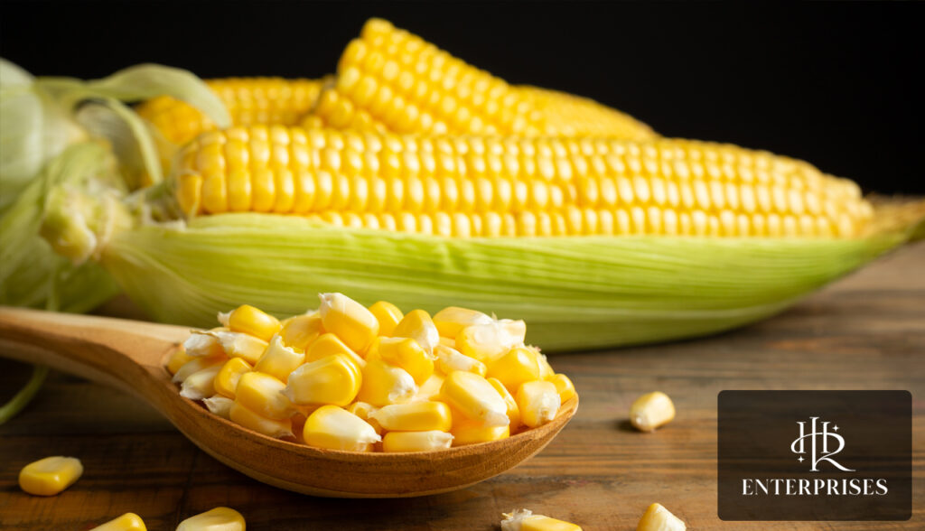 what-is-special-about-maize